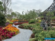 International Horticultural Exhibition 2024 Chengdu_SakataGarden_fot. A. Cecot