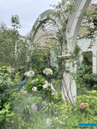 International Horticultural Exhibition 2024 Chengdu_OgródSzanghaju_fot. A-Cecot