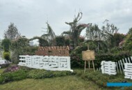 International Horticultural Exhibition 2024 Chengdu_Bougainvillea Dream Garden_fot. A. Cecot