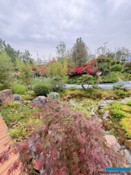 International Horticultural Exhibition 2024 Chengdu_Bougainvillea Dream Garden__fot. A. Cecot