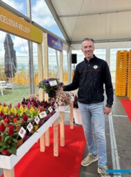 Bas Van der Kraan, specjalista z firmy Beekenkamp Plants prezentuje jedną z nowych odmian petunii z grupy Tea_FlowerTrials 2024_fot. A-Cecot