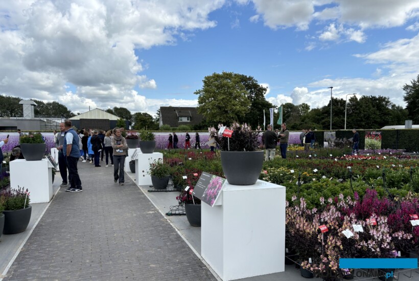 Migawka z FlowerTrials 2024, fot. A. Cecot