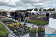 Jedna z zewnętrznych części różnorodnej prezentacji firmy Florensis w Hendrik-Ido-Ambacht_FlowerTrials 2024_fot. A-Cecot