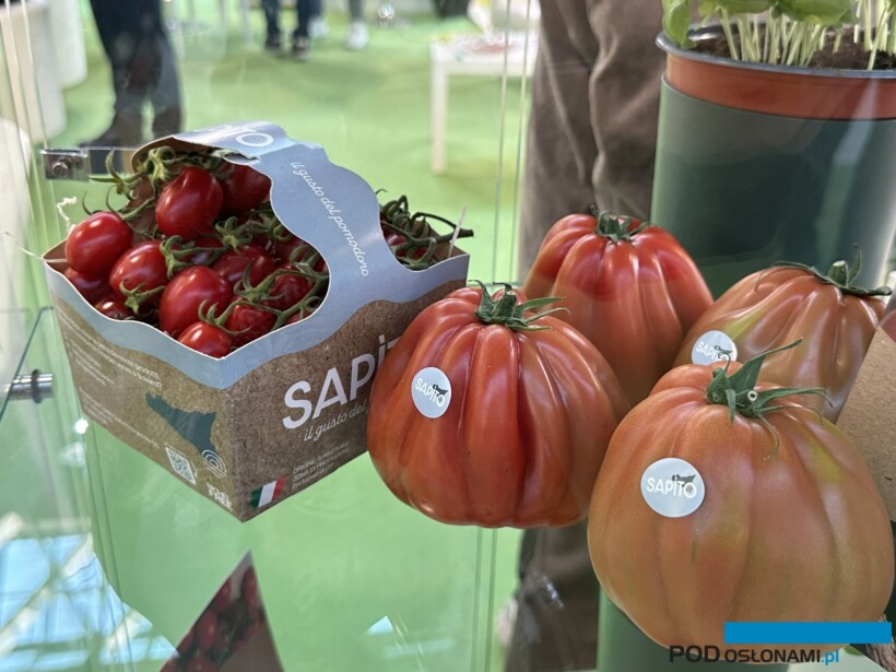 Na włoskich targach Macfrut prezentowano wiele oryginalnych odmian pomidora (fot. D. Łabanowska-Bury)
