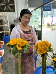 Rynek hurtowy roślin ozdobnych w kompleksie SpringGarden w Chengdu (Pidu)_Chiny 2024_Kwiaty ciete słoneczników z lokalnej produkcji_fot. A. Cecot