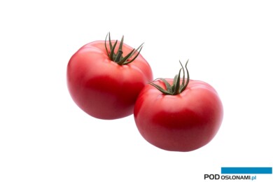 Pomidor malinowy DRTG4857, odporny na ToBRFV (fot. De Ruiter)