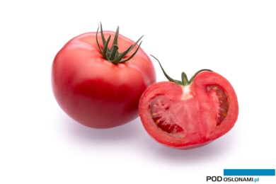 Pomidor malinowy DRTG4857, odporny na ToBRFV (fot. De Ruiter)