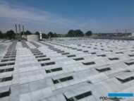 Dachy szklarni pokryte powłoką ReduSol - szklarnie o powierzchni 3 ha w Goczałkowicach-Zdroju (fot. Agrodrone)