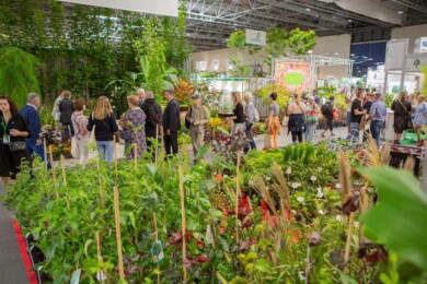 ZieleńToŻycie_HalaTargowa_130_fot. APZ