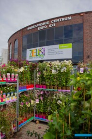 ZieleńToŻycie__fot. APZ