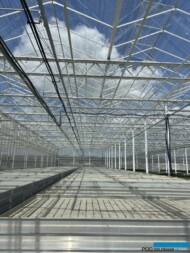 Nowa, oddana do użytku w styczniu 2024 r., szklarnia Venlo w Plantpolu_Zaborze_fot. A-Cecot
