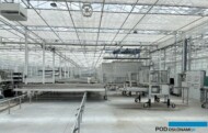 Linia technologiczna z robotem do zagęszczania ukorzenionych sadzonek w paletach_Plantpol-Zaborze_06-2024_m_fot. A-Cecot