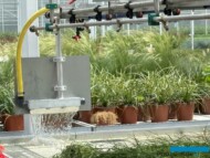 Podlewanie - za pomocą "wylewki" znajdującej się na końcu samojezdnej belki nawadniającej - roślin uprawianych w doniczkach na stołach-kontenerach_Plantpol-Zaborze_fot. A-Cecot