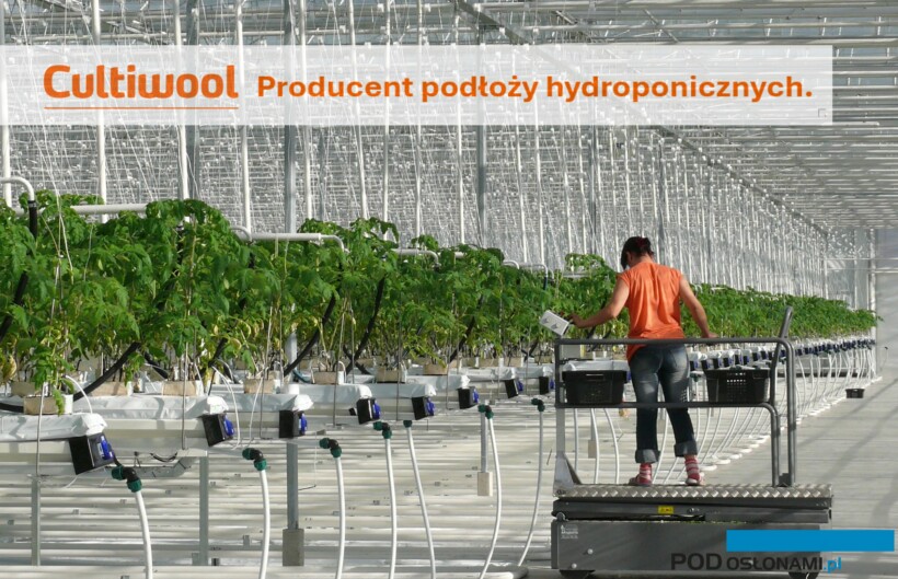 podłoża z wełny kamiennej Cultiwool