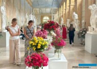 Wystawa Royal Rose 2024 w atrakcyjnym wnętrzu Starej Oranżerii_65 lecie SITO_fot. A-Cecot