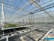 Plantpol-Zaborze_nowa-szklarnia-ramie nawadniajace_09-2024_m_fot. A-Cecot