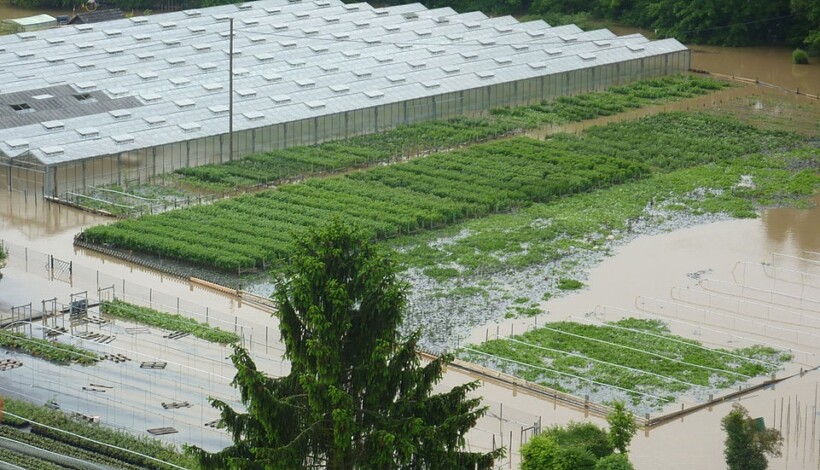 Copyrights by Gartenbau-Versicherung