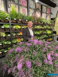 Sebastian Hoogenraad i budleja Davida 'Pink Cascade'_Hoogenraad Handelskwekerijen _GrootGroenPlus 2024_fot. A-Cecot