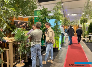 GrootGroenPlus 2024_fot. A-Cecot