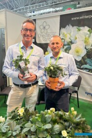 Wim van Velden i Bartłomiej Pierzchalski z firmy Syngenta Flowers prezentują ciemiernik biały (Helleborus niger) Christmas Carol_Zielen to Zycie 2024_fot. A-Cecot