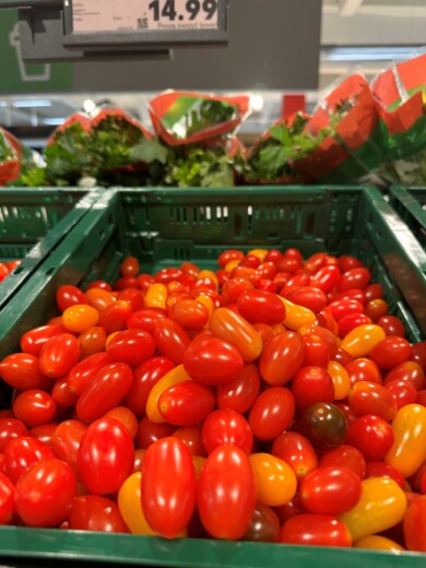 Na polski rynek trafiają spore ilości pomidorów z importu, również koktajlowych (fot. DŁB)