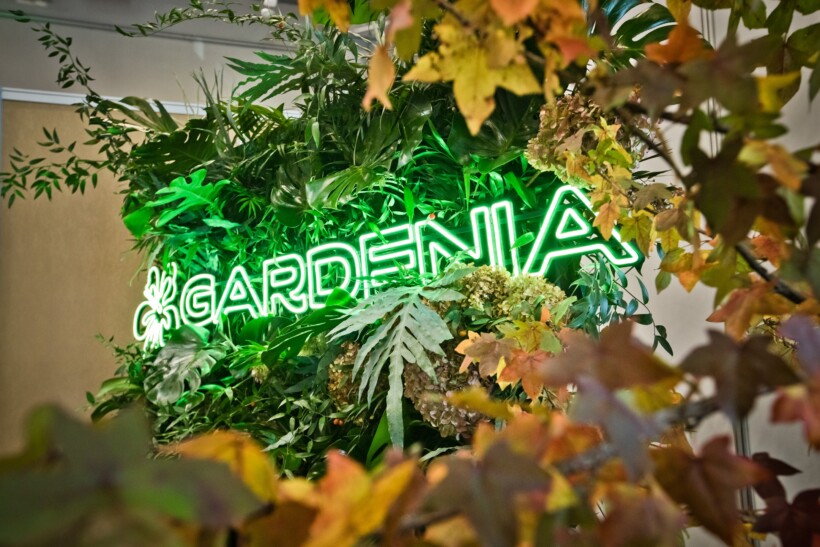 Gardenia 2024_fot. / Fotobueno