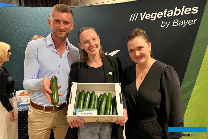 Grzegorz Fic, Karolina Misztal oraz Monika Buława z firmy Bayer prezentują nowość w asortymencie - ogórek półdługi DRCB6071 (na razie dostępny w testach uprawowych, fot. J. Faraś)