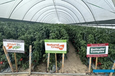 Gama produktów NaturalCrop dla papryki