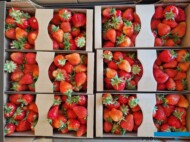 wysoka jakość truskawki