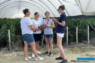 Uczestnicy Pepper Cafe 2024 (fot. DŁB)