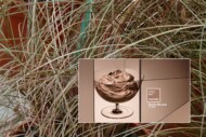 Kolor Roku 2025 Mocha Mousse_fot. PANTONE - PTN COY Hero Primary Cropping_oraz Carex-comansBronzePerfection (fot. A-Cecot)