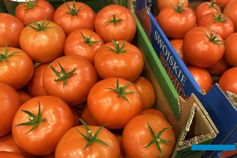 pomidor odporny na ToBRFV