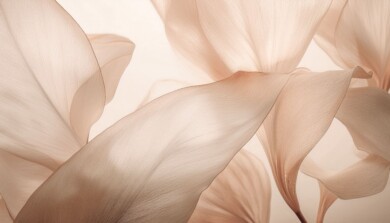 Kolor Roku 2025 Mocha Mousse_PTN COY Variation Texture Nature_fot. PANTONE