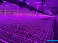 Automatyczne ramię zraszające (fot. DŁB)