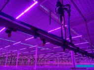 Automatyczne ramię zraszające (fot. DŁB)