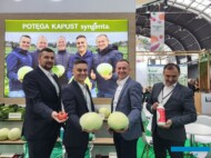 Do odmian warzyw, środków ochrony i biostymulatorów z Syngenty przekonywali Andrzej Szymański (z lewej), Tomasz Górski, Marek Zieliński oraz Roman Parzych (fot. AW)