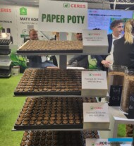 Paper poty z oferty firmy Ceres (fot. AW)