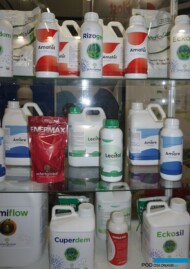 Szeroką ofertę biostymulatorów przedstawiła firma Amagro (fot. AW)