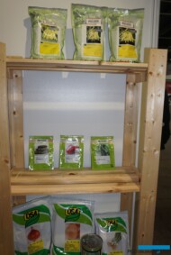 Nasiona warzyw do upraw profesjonalnych z firmy Alseed (fot. AW)