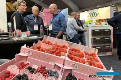 Wystawa towarzysząca ISFC to miejsce spotkań i dyskusji