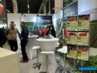 Sadzonki truskawek proponowała m.in. firma De Kemp (fot. DŁB)