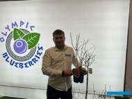 Nową serię sadzonej borówki wysokiej prezentowała firma Ciepłucha (fot. DŁB)