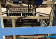 Gernée_Ozdobne trawy i byliny_Zmechanizowane przenoszenie doniczek (z roślinami) do skrzynek plastikowych_fot. A-Cecot