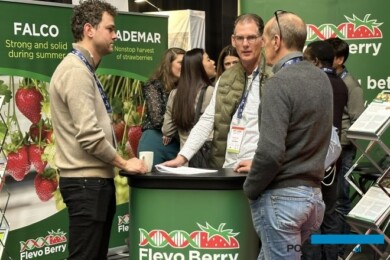 Stoisko szkółki Flevo Berry