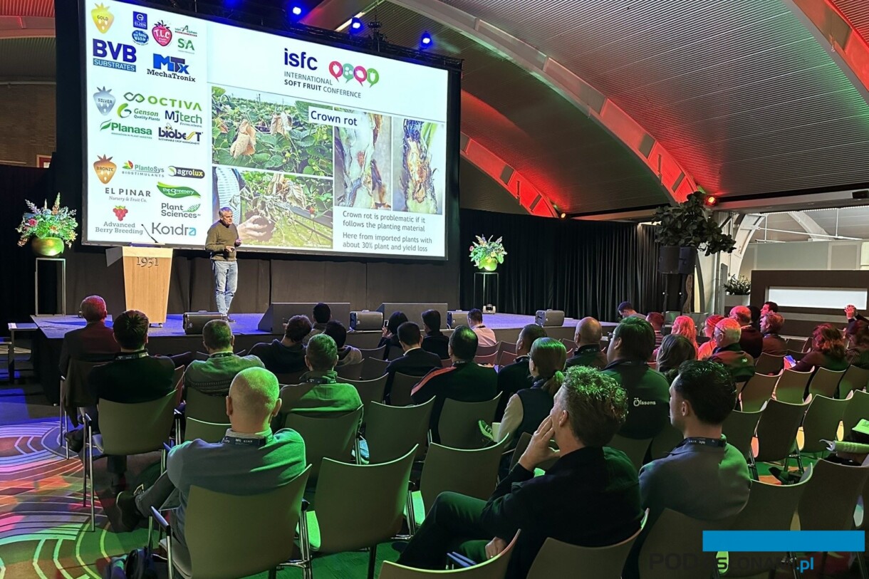 Konferencja ISFC 2024