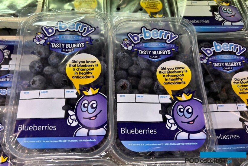 Borówki na półkach marketów są obecne cały rok, stąd potrzeba importu