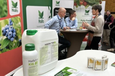 Oferta nawozów Haifa