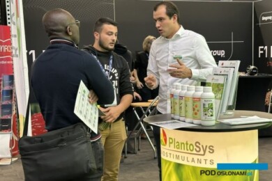 Nawozy biostymulujące PlantoSys były polecane do upraw jagodowych
