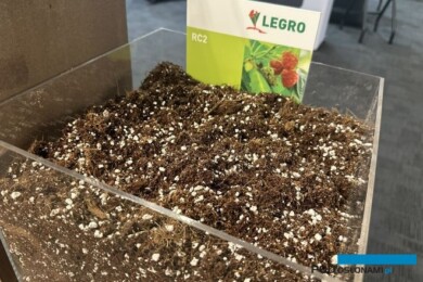Podłoża do uprawy roślin jagodowych Legro