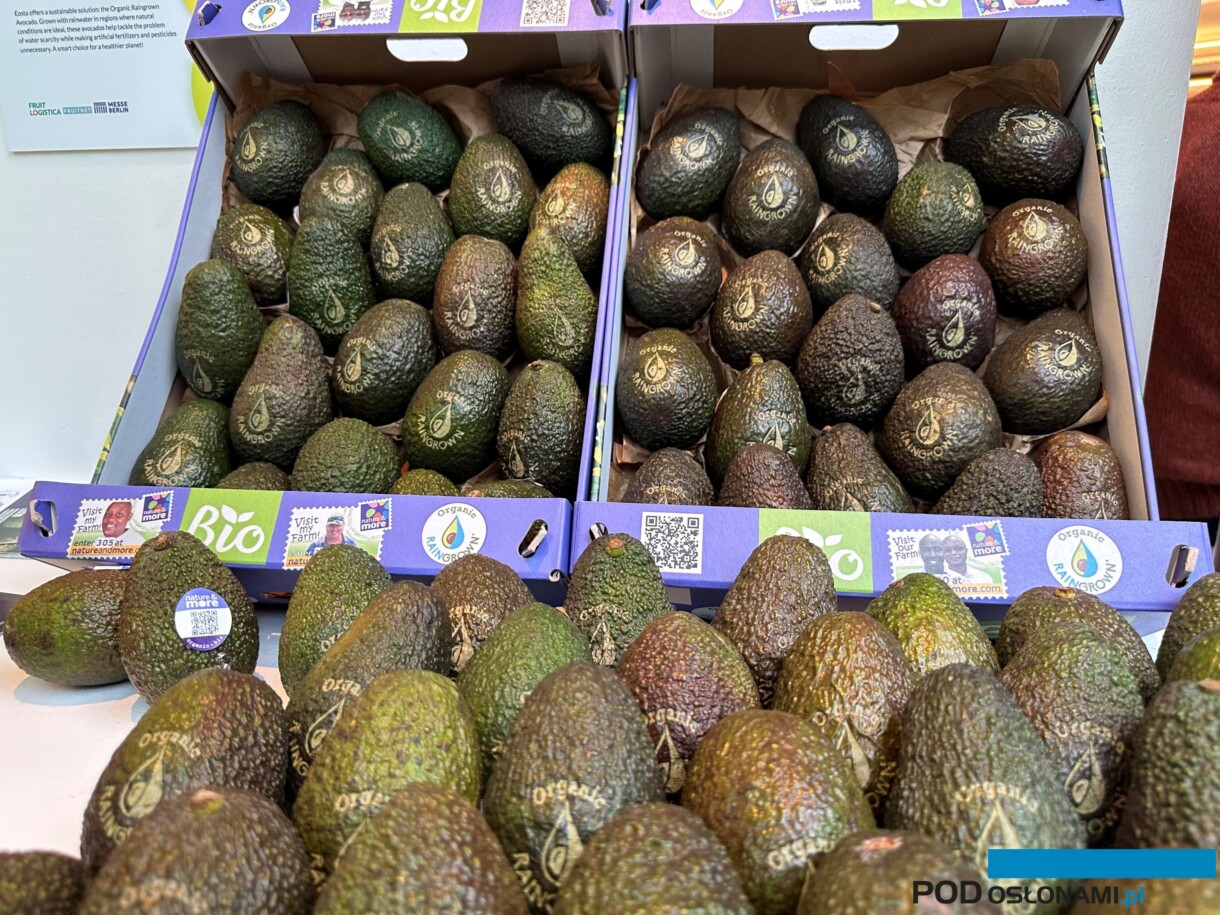 Organic Raingrown Avocado z holenderskiej firmy Eosta B.V